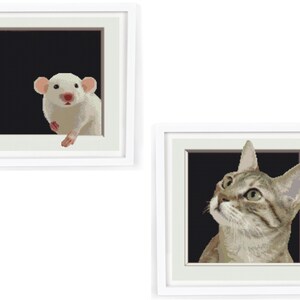 May include: Two framed cross-stitch artworks. One features a white rat peeking out of a black square. The other depicts a tabby cat looking upwards from a black square. Both are in white frames.