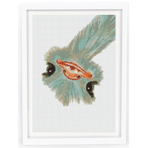 May include: A close-up of an ostrich's head peeking into the frame. The ostrich has a light blue and gray head with a bright orange beak and dark eyes.