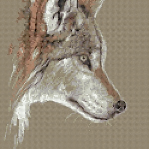 May include: A close-up of a wolf's head, with a brown and gray fur pattern. The wolf's eye is visible, and the nose is pointed.