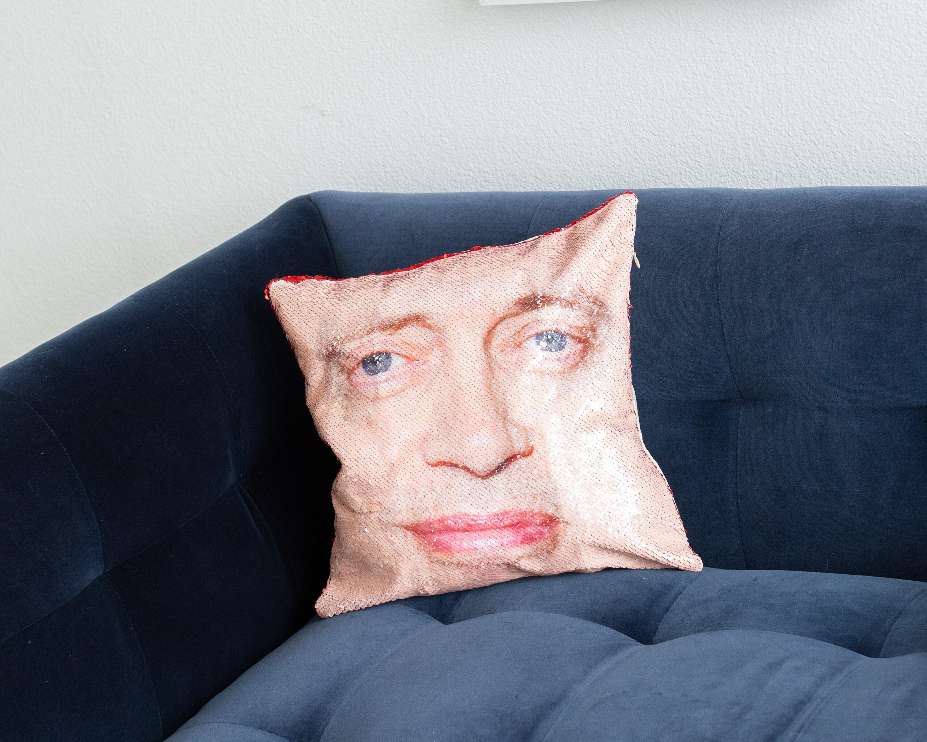 Steve buscemi sequin pillow top