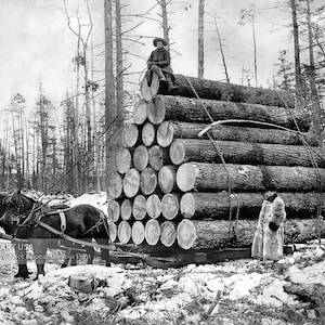 Lumberjack & Horse Logging Print – Early 1900s Vintage Wall Art