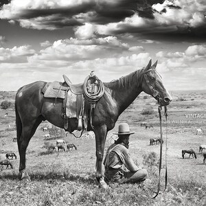 Puede incluir: Una fotograf&iacute;a en blanco y negro de un vaquero sentado en el suelo con su caballo de pie a su lado. El vaquero lleva un sombrero y mira hacia un lado. El caballo lleva una silla de montar y una brida. Hay muchas vacas en el fondo.