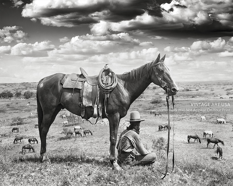 Puede incluir: Una fotograf&iacute;a en blanco y negro de un vaquero sentado en el suelo con su caballo de pie a su lado. El vaquero lleva un sombrero y mira hacia un lado. El caballo lleva una silla de montar y una brida. Hay muchas vacas en el fondo.