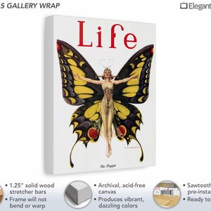 Art Nouveau Butterfly Wall Art 1922 Life Magazine Cover Art Flapper Butterfly Canvas Art Print Details