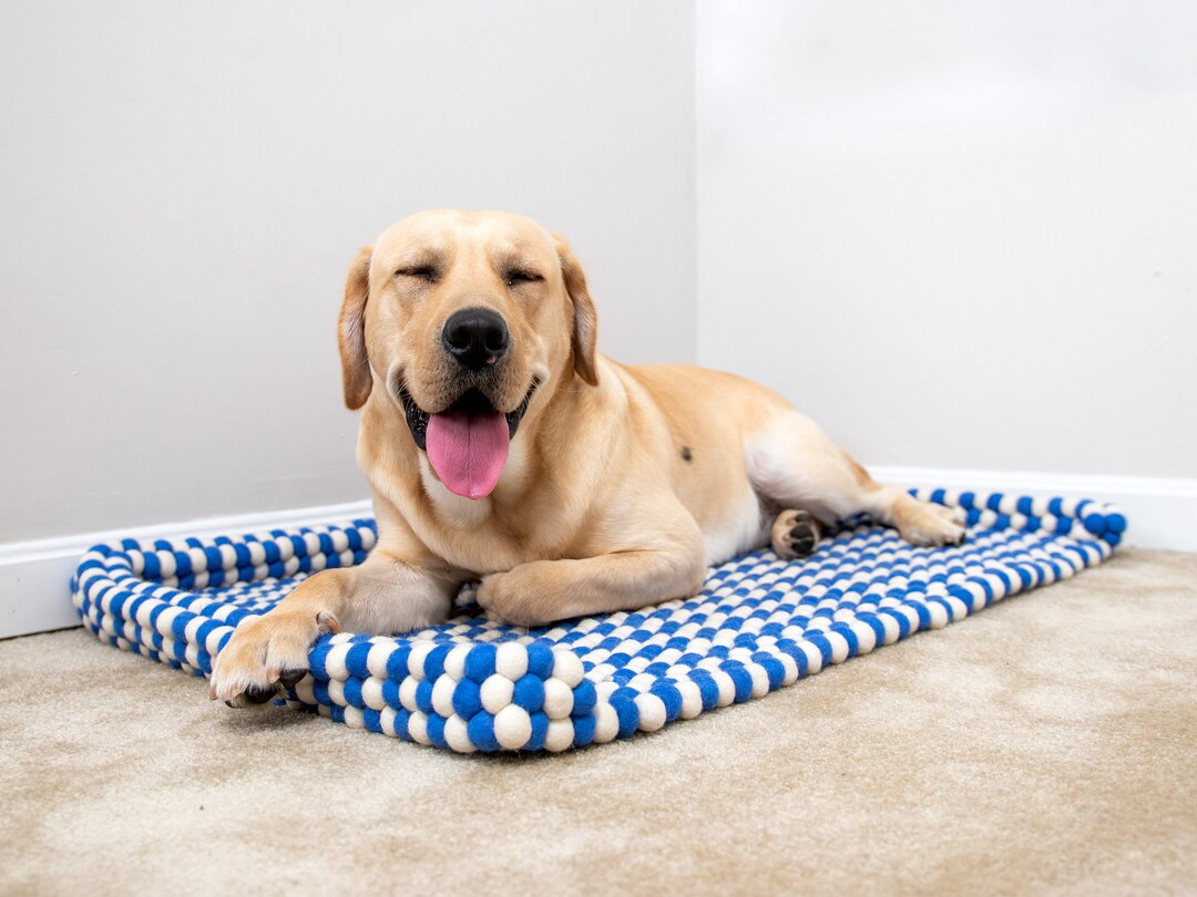 Reefelt Wool Felt Premium Dog Bed Felted Dog Bed Felt Pet House 100