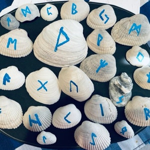 May include: A collection of white seashells and stones, each inscribed with blue runes. The runes are painted on the shells and stones, arranged on a dark surface. The shells vary in size and shape, creating a unique display.