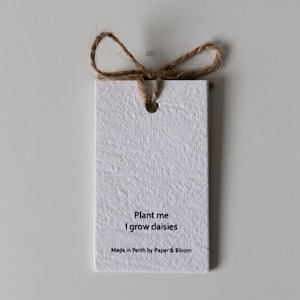 Etichette regalo con semi piantabili (confezione da 5)