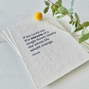Cartes de citations inspirantes à planter - Lot de 12