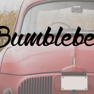 Sticker Bumblebee Car Sticker Tuning JDM Decal Bike Truck Motorcycle Car LE Oldschool Truck