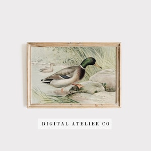 Arte de parede para impressão de pato vintage, arte de parede para quarto de berçário, arte de parede de fazenda, arte de parede antiga 2106
