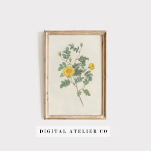 Antieke gele bloemenprint botanische tekening bloemenprint 2173