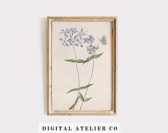 Vintage Botanical Flower Print: Antique Watercolor Art (Digital Download) 2170