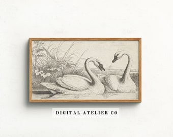 Samsung Frame TV Art | Vintage Swan drawing  | Swan Sketch Wall Art | Farmhouse Wall Art | Vintage Fine Art Tv Art | Antique Wall Art | 2112