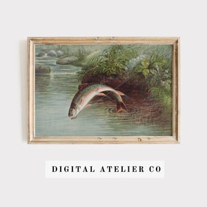 Trout Print Fish Print Lake home decor Vintage Fish print 2099
