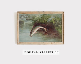 Trout Print Fish Print Lake home decor Vintage Fish print 2099