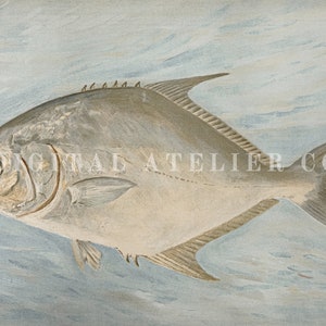 May include: A watercolor painting of a silver-colored fish with a dark gray tail and fins. The fish is swimming in a light blue background with white clouds.