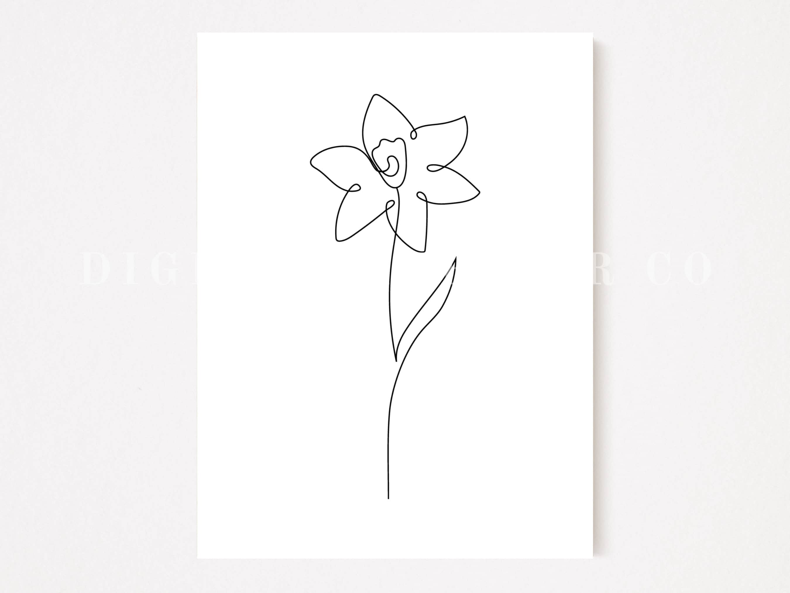 Narcissus Flower Fine Line Drawing