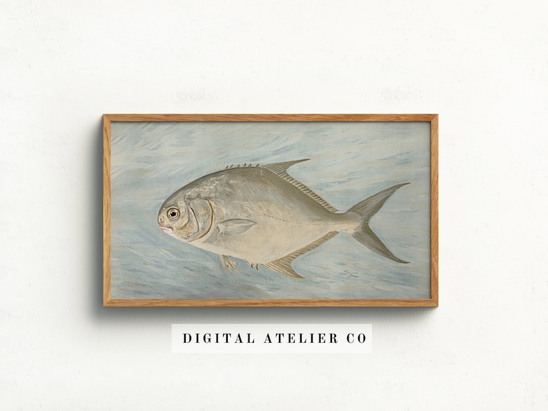 May include: A vintage illustration of a silver fish with a light blue background. The fish is depicted in a wooden frame.