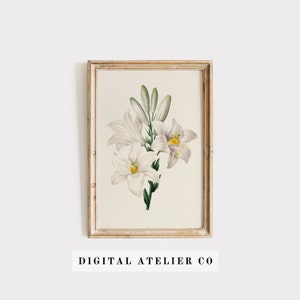 Vintage Blumen Druck, Lilie Blumen Poster, Lilie Blumendruck 2169