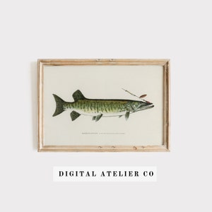 Vintage Fish Print Fish Poster Wall Decoration Gift Idea  2102