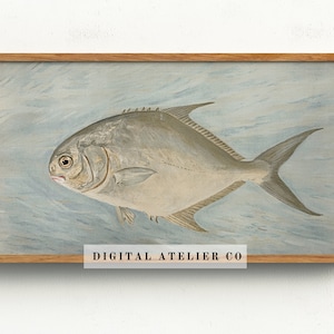 May include: A vintage illustration of a silver fish swimming in a light blue watercolor background. The fish has a large, round body and a small, pointed head. The illustration is framed in a light brown wood frame. "DIGITAL ATELIER CO" is printed in the bottom right corner of the image.