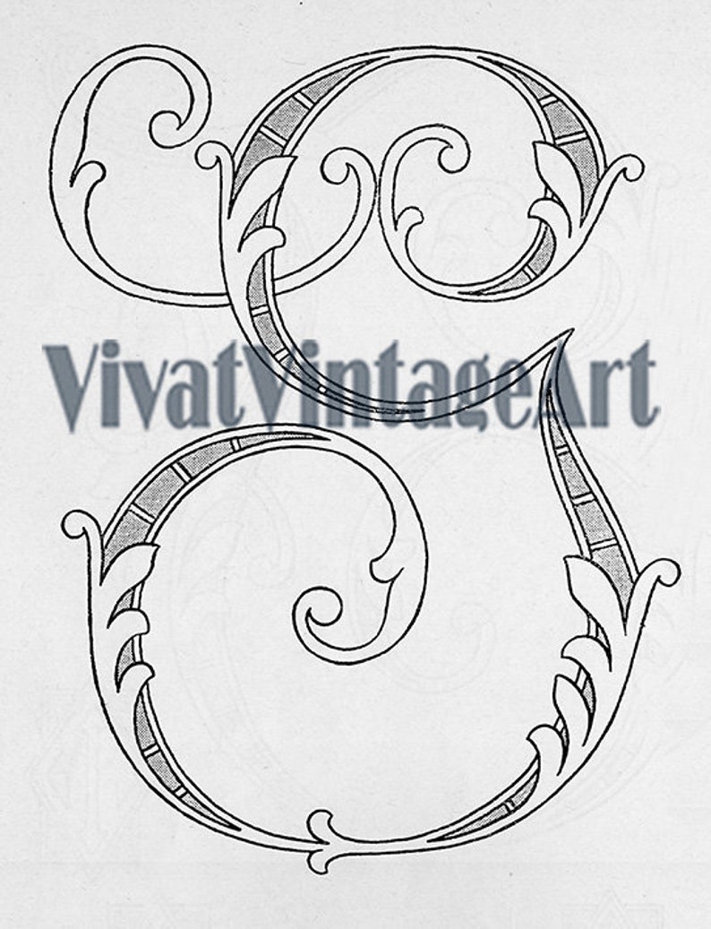 May include: A black and white illustration of a decorative letter S with ornate flourishes. The letter is stylized with a series of lines and curves.