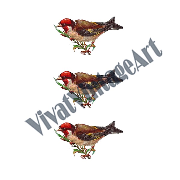 Vintage goldfinch digital download. PNG and JPG. high resolution 300dpi Victorian era bird (goldfinch) figurine digital download