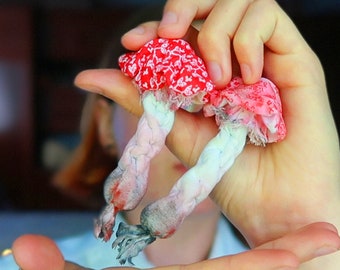 Amanita pluche, paddenstoelornament