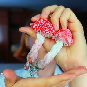 Amanita plush, Mushroom ornament