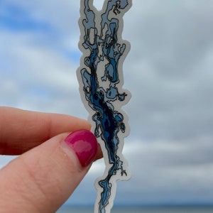 Lake Champlain Water Depth Sticker: Plattsburgh, Burlington, Upstate NY ...