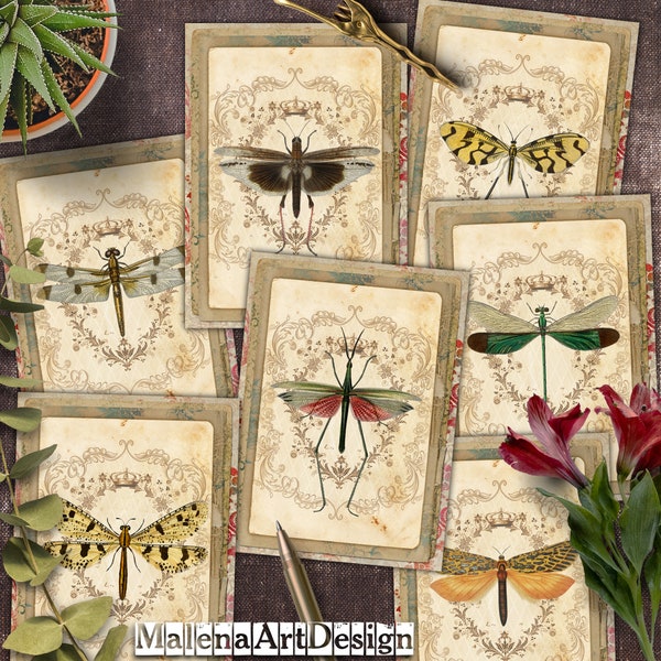 Insects, CARDs, Digital Cards Printables, Scrapbook, Junk Journal,  Vintage, Dragonflies, Papers For Crafts, Includes GIFT printables!
