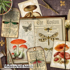 Papers, Digital Cards Printables, Mushrooms, Dragonflies , Vintage, Papers For Crafts, Scrapbook