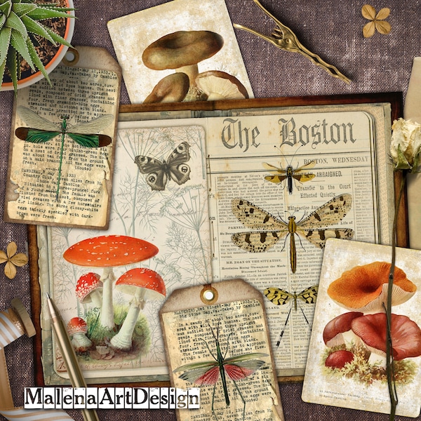 Papers, Digital Cards Printables, Mushrooms, Dragonflies , Vintage, Papers For Crafts, Scrapbook