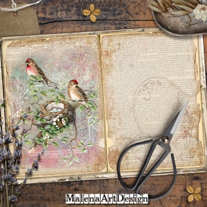 Pássaros, Papéis, Cartões Digitais Imprimíveis, Vintage, Cartões, Artesanato, Scrapbook, Junk Journal, TAGS,