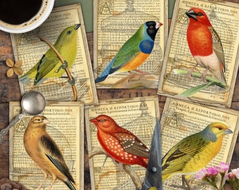 Birds, Cards, TAGS, ATC, Digital Cards Printables, Vintage, Papers For Crafts, Scrapbook, Junk Journal, Download, Includes GIFT printables!