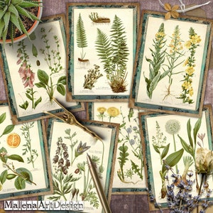 Botânico, cartões digitais para impressão, vintage, CARTÃO, papéis para artesanato, scrapbook, diário de sucata, plantas, inclui imprimíveis de PRESENTE!