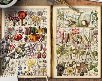 Botanical, Papers, Cards, Digital Cards Printables, Vintage, Scrapbook, Junk Journal, TAGS, Papers For Crafts