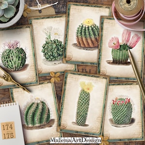 Botanical, Digital Cards Printables, Vintage, CARD, Papers For Crafts, Scrapbook, Junk Journal, Succulent, Cactus, Includes GIFT printables!