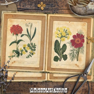 Papéis, Cartões Digitais Imprimíveis, Vintage, Cartões, Senhoras, Artesanato, Moda, Scrapbook, Junk Journal, TAGS,