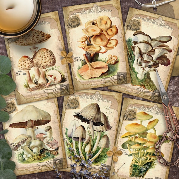 Mushrooms, Setas, Vintage, TAGS, Scrapbook, Junk Journal, Botanical, Digital Cards Printables, Papers For Crafts, Includes GIFT printables!