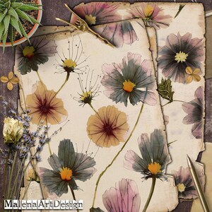 Papéis, Vintage, CARTÃO, Cartões Digitais Imprimíveis, Papéis para Artesanato, Scrapbook, Junk Journal
