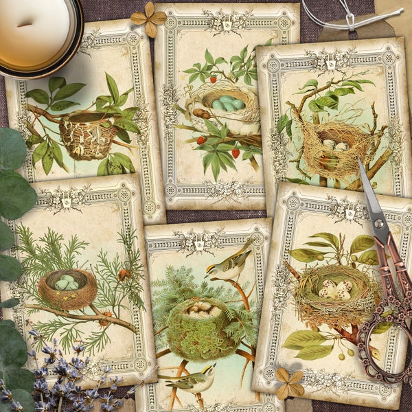 Bird nests, Digital Cards Printables, Vintage, CARD, Papers For Crafts, Scrapbook, Junk Journal, Includes GIFT printables!