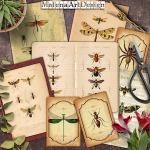 Insetos, CARTÕES, Papéis, Cartões Digitais Imprimíveis, Scrapbook, Junk Journal, Vintage, Papéis para Artesanato, TAGS