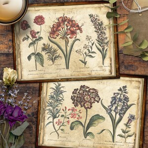 Cartões digitais imprimíveis, vintage, papéis para artesanato, cartões, scrapbook, diário de lixo, rosas, flores, papéis,