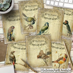 Kaarten, vogels, knutselpapier, TAGS, afdrukbare digitale kaarten, vintage, plakboek, rommeljournaal, tags, inclusief afdrukbare cadeaus!