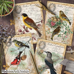 Birds, Cards, TAGS, ATC, Digital Cards Printables, Vintage, Papers For Crafts, Scrapbook, Junk Journal, Download, Includes GIFT printables!
