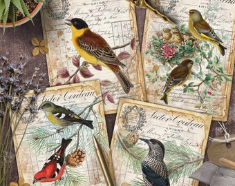 Oiseaux, Cartes, TAGS, ATC, Cartes numériques imprimables, vintage, Papiers pour l’artisanat, Scrapbook, Junk Journal, Télécharger, Comprend des imprimables GIFT!