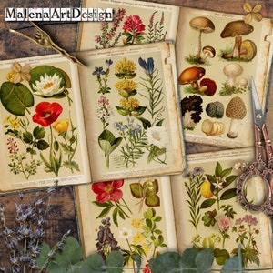 Junk Journal, Papéis, Botânico, Vintage, Cartões Digitais Imprimíveis, Papéis para Artesanato, Scrapbook, TAGS, Páginas