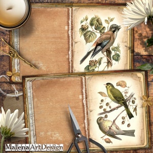 Papéis, Cartões Digitais Imprimíveis, Vintage, Papéis para Artesanato, Scrapbook, Junk Journal