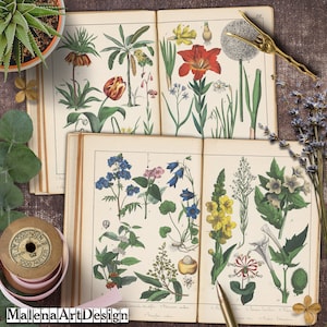 Junk Journal, Papéis, Botânico, Vintage, Cartões Digitais Imprimíveis, Papéis para Artesanato, Scrapbook, TAGS, Páginas